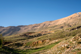 Al-Arz;Iris;Iris-Cedreti;Kaleidos;Kaleidos-images;Lebanon;Middle-East;Near-East;Proche-Orient;Tarek-Charara;Flowers;Endemic;Endangered-species;Endemic-species;Critically-endangered;Critically-endangered-species